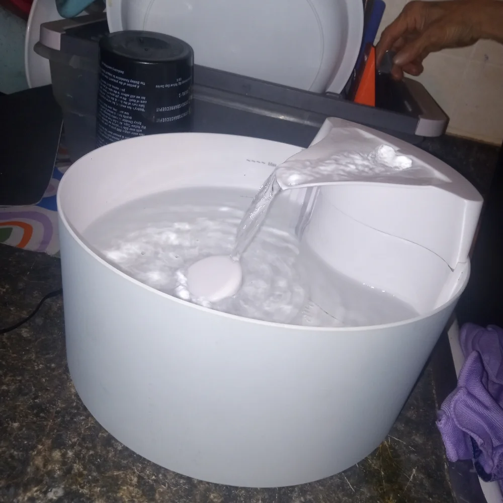 White Automatic Pet Water Fountain